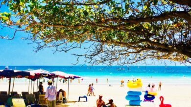 Photo of থাইল্যান্ড ভ্রমণের ইতিবৃত্ত