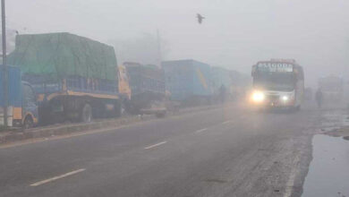 Photo of দৌলতদিয়া-পাটুরিয়ায় ফেরি চলাচল শুরু