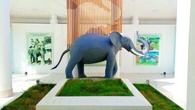 Photo of পর্যটকদের অন্যতম আকর্ষণ ও দর্শনীয় স্থান ‘ফুলকলি’