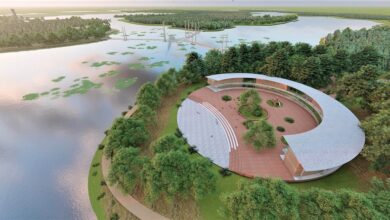 Photo of পর্যটক টানতে আশুরার বিলে বাড়ছে সৌন্দর্য