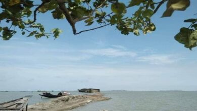 Photo of পূর্ণ জোসনায় হেসে উঠে হিজল বন