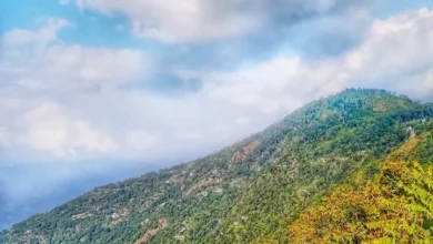 Photo of কালিম্পংয়ে দেখার আছে অনেক কিছু