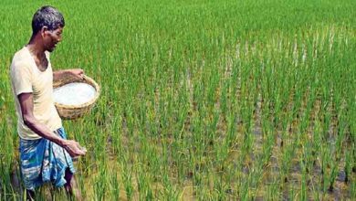 Photo of সারের দাম কেজিতে ৫ টাকা বাড়ল