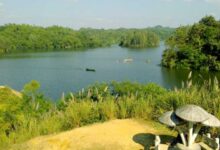 Photo of প্রকৃতির মায়াজালে মোহাবিষ্ট ‘মহামায়া লেক’