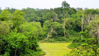 Photo of রেমা কালেঙ্গায় গোলাগুলির ঘটনায় মামলা