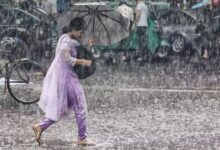 Photo of টানা ৫ দিন দেশজুড়ে বজ্রবৃষ্টির আভাস